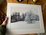 Framed print - £30 with free local Beeston delivery