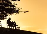 Contemplation