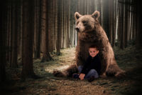 Bear