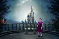 CinderellaCastle