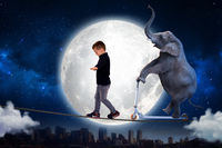 Elephant Tightrope 2