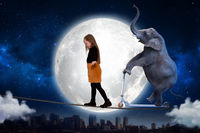 Elephant Tightrope