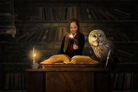 Wizard Desk b