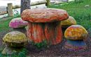 Magic Mushrooms