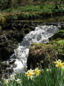 S1011 Waterfall