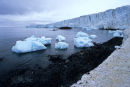 Brown Bluff Glacier