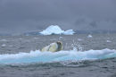 Ice Rider I