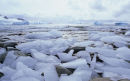 Ice Foreshore