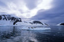 Ice Riders