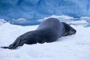 Sleeping It Off