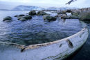Lost Souls of Lockroy