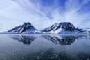 Pleneau Vista II