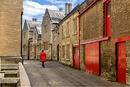 Lady in a Red Coat