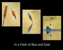 In a Flash of Blue and Gold