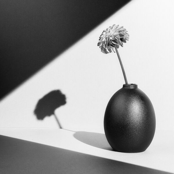 Light and Shadow