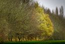 Harrold Country Park
