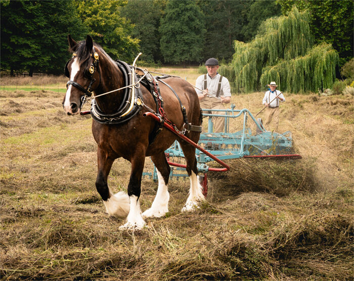 Meadow Working in Harmony
