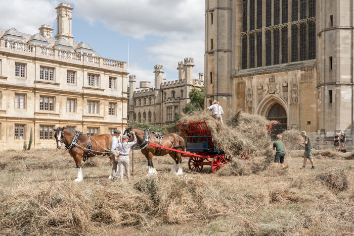 The Haywain
