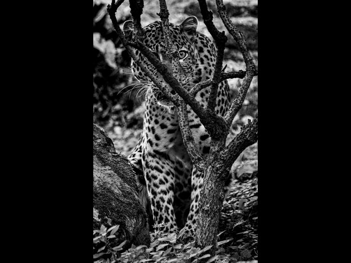 You Aint Seen Me, Right