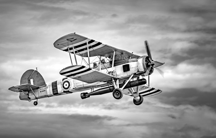 Flying High