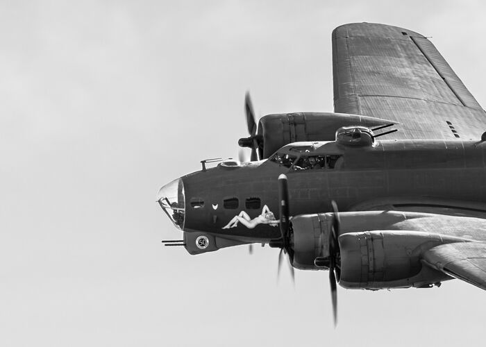 Sally B