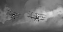 Tri Planes