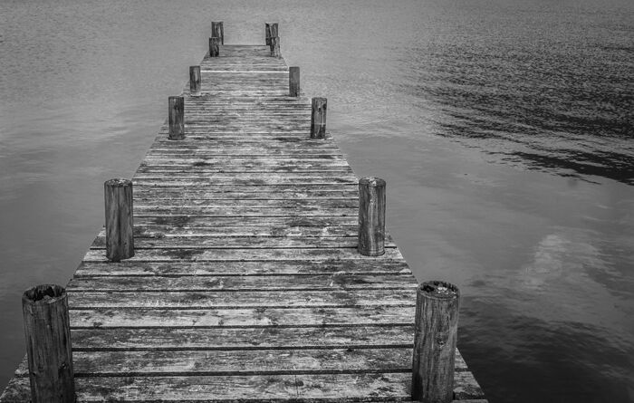 Jetty To Nowhere