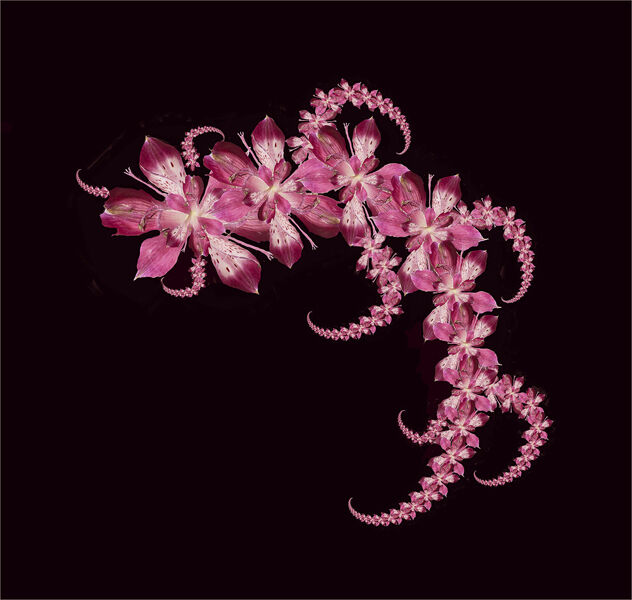 Pretty in Pink