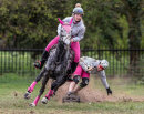 Horseboarding