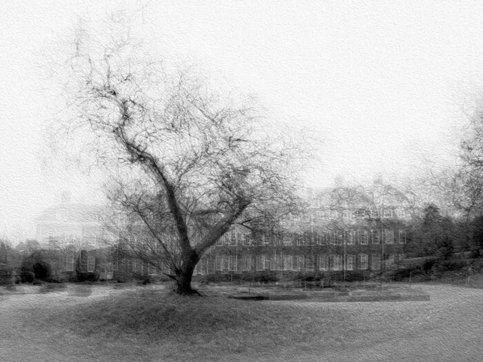 Bennington Lordship Pep Ventosa Style