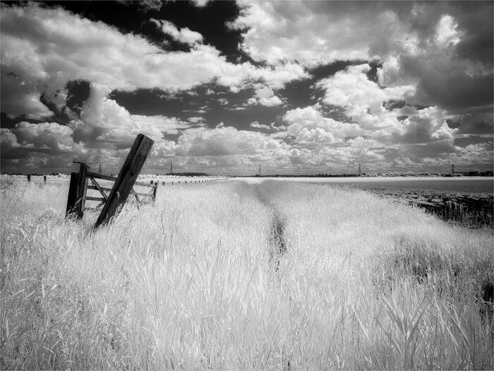 Gateway To The IR World Of Wicken Fen