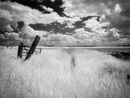 Gateway To The IR World Of Wicken Fen