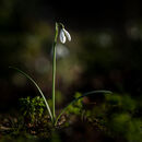 Finding The Light
