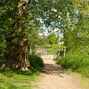 Footpath to the Folly
