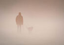 Into The Mist