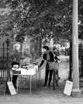 Books and Bear Sale