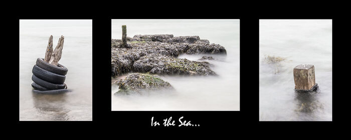 In The Sea