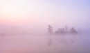 MIsty Lake at Deene Park