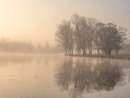Dawn at Deene Park