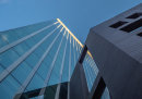 Looking Up