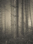 Isolated