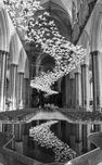 Salisbury Doves