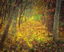 Harrold Country Park