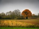 Near Oakley Bridge