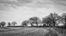 Near Chicksands