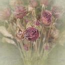 Faded Glory