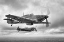 The Few
