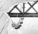 The Eye of the Puddle
