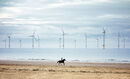 Ride the Wind