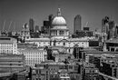 The City